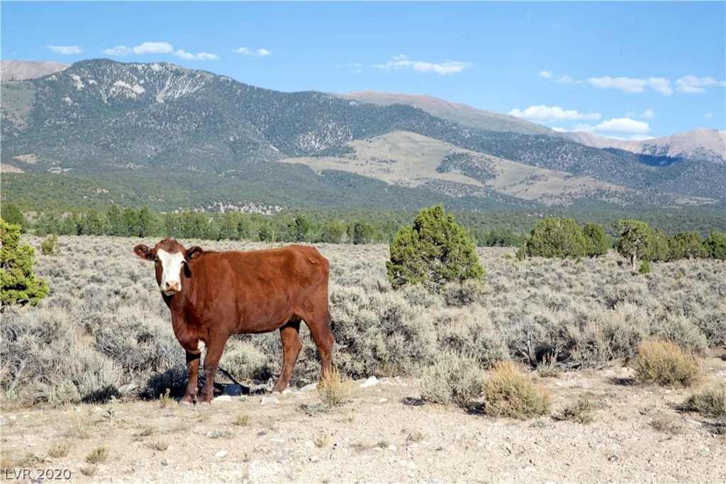 4900 BIRD CREEK, Ely, NV 89301
