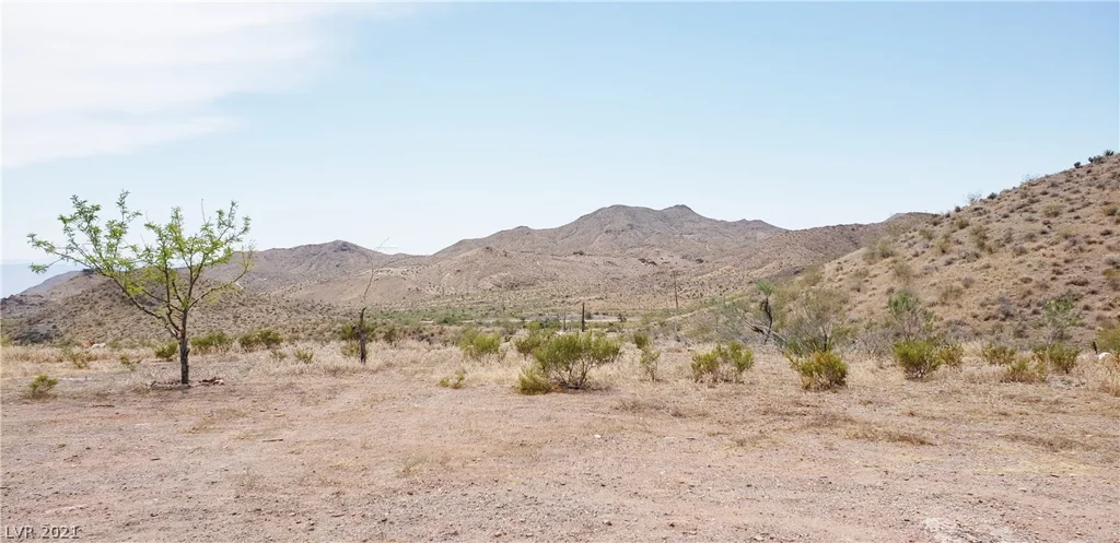 MS 1990 Cottonwood Cove, Searchlight, NV 89046