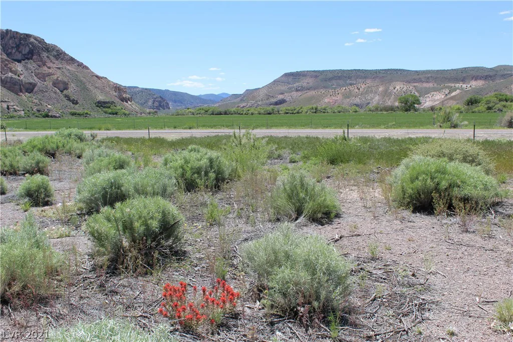 Rainbow Canyon – Clover Street, Caliente, NV 89008