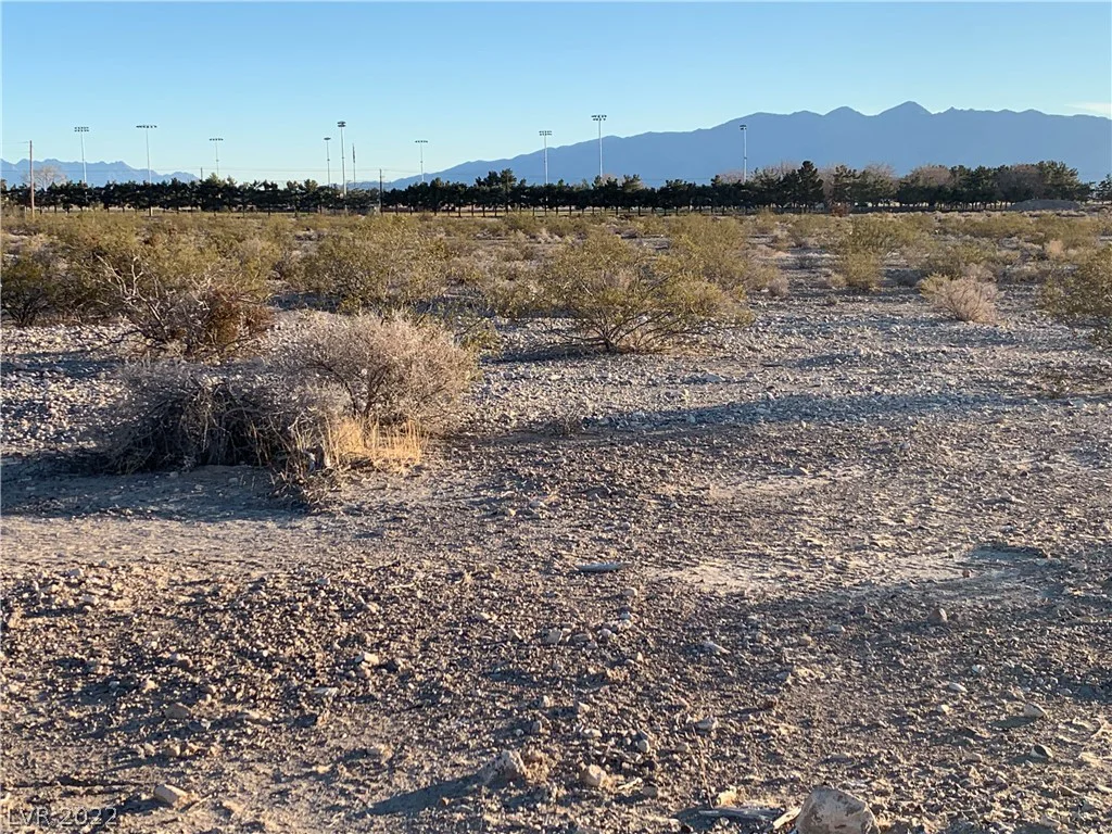 1731 Dakota, Pahrump, NV 89048