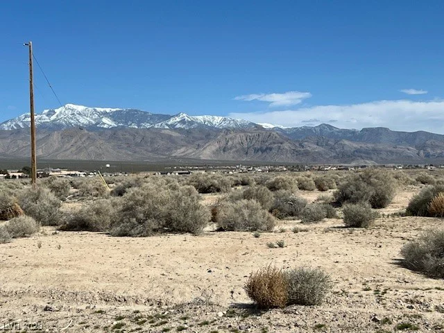 1390 Elko, Pahrump, NV 89048