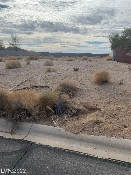 135 Fig Leaf, Palm Gardens, NV 89039