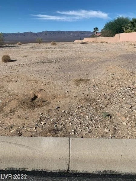 135 Fig Leaf, Palm Gardens, NV 89039