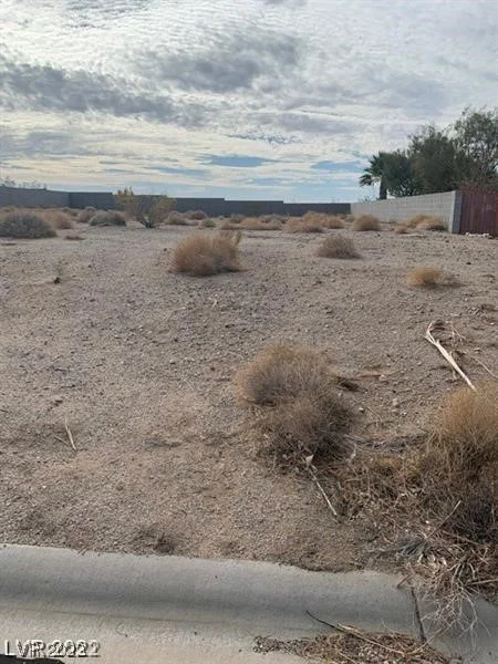 135 Fig Leaf, Palm Gardens, NV 89039