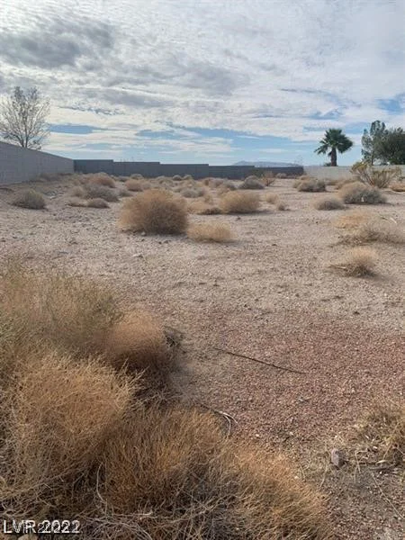11 Scenic View, Palm Gardens, NV 89039