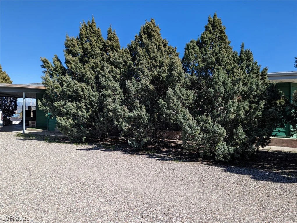 120 Main, Pioche, NV 89043