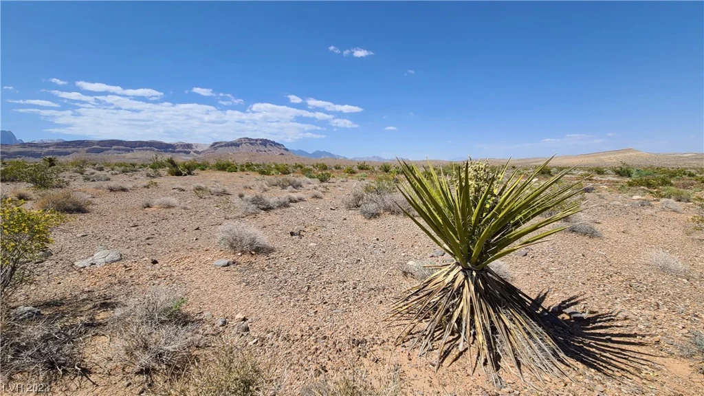 0 State HWY 160, Las Vegas, NV 89161