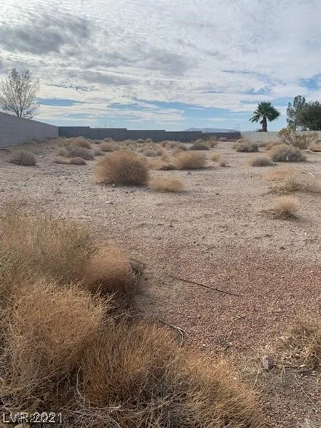 75 Fig Leaf, Palm Gardens, NV 89039