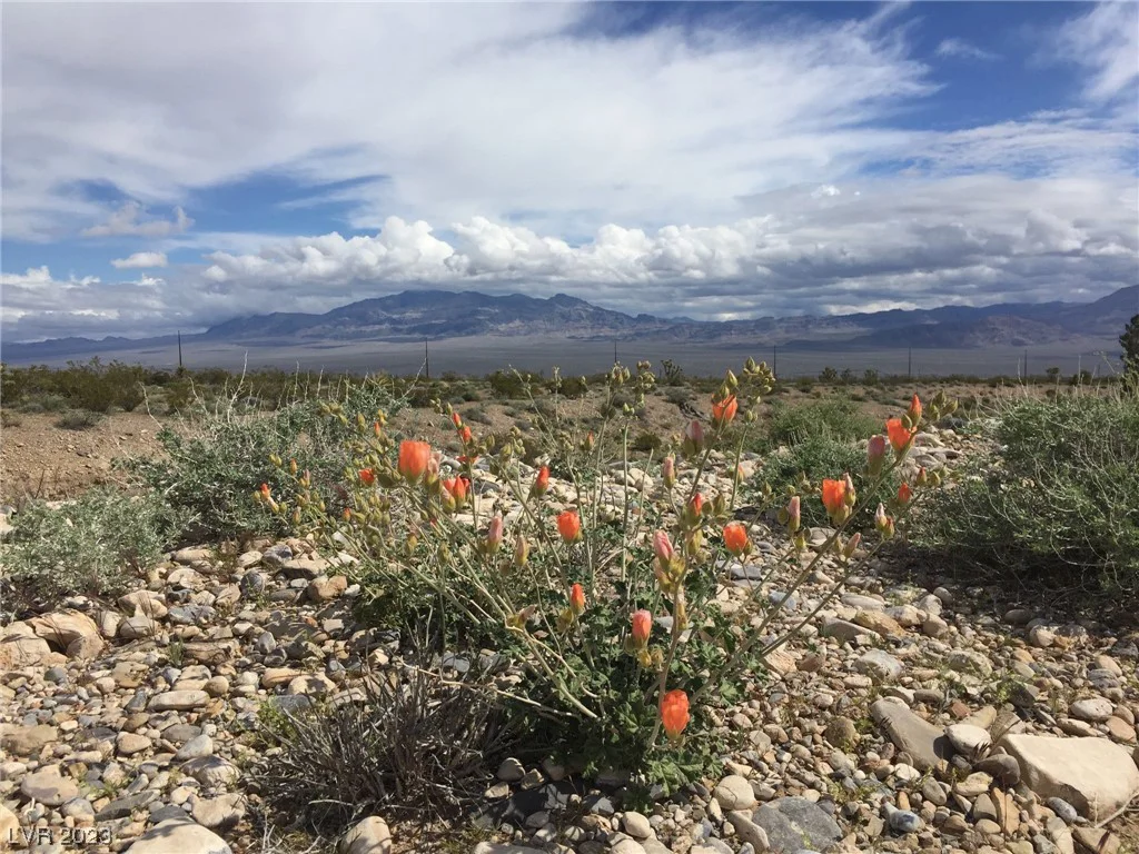 Kyle Canyon Road, Las Vegas, NV 89166