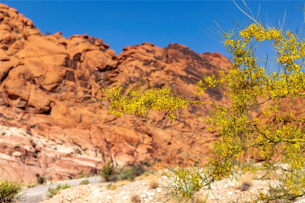 Heyer, Las Vegas, NV 89161