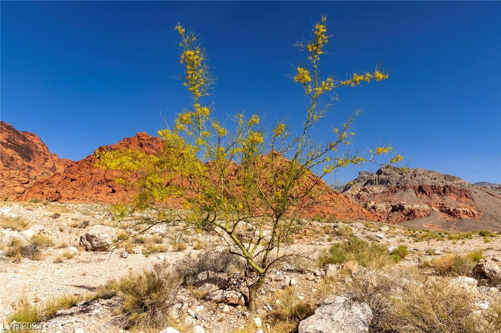 Sandstone, Las Vegas, NV 89161