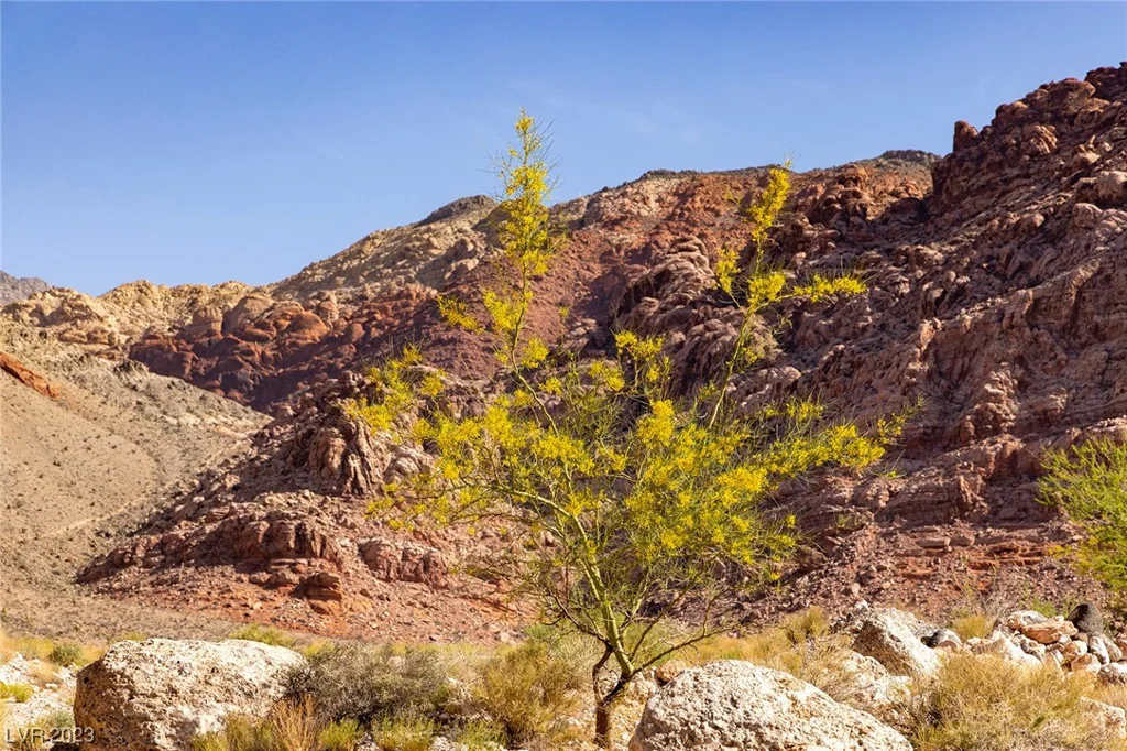 Sandstone, Las Vegas, NV 89161