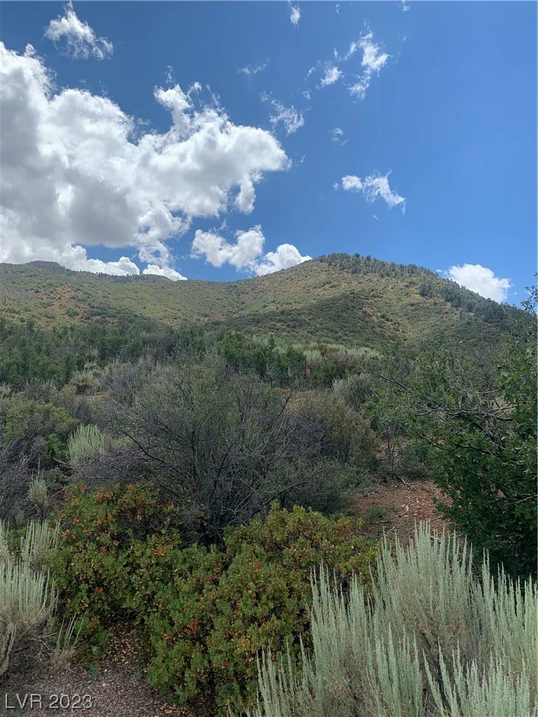 Lovell Summit Rd, Las Vegas, NV 89124