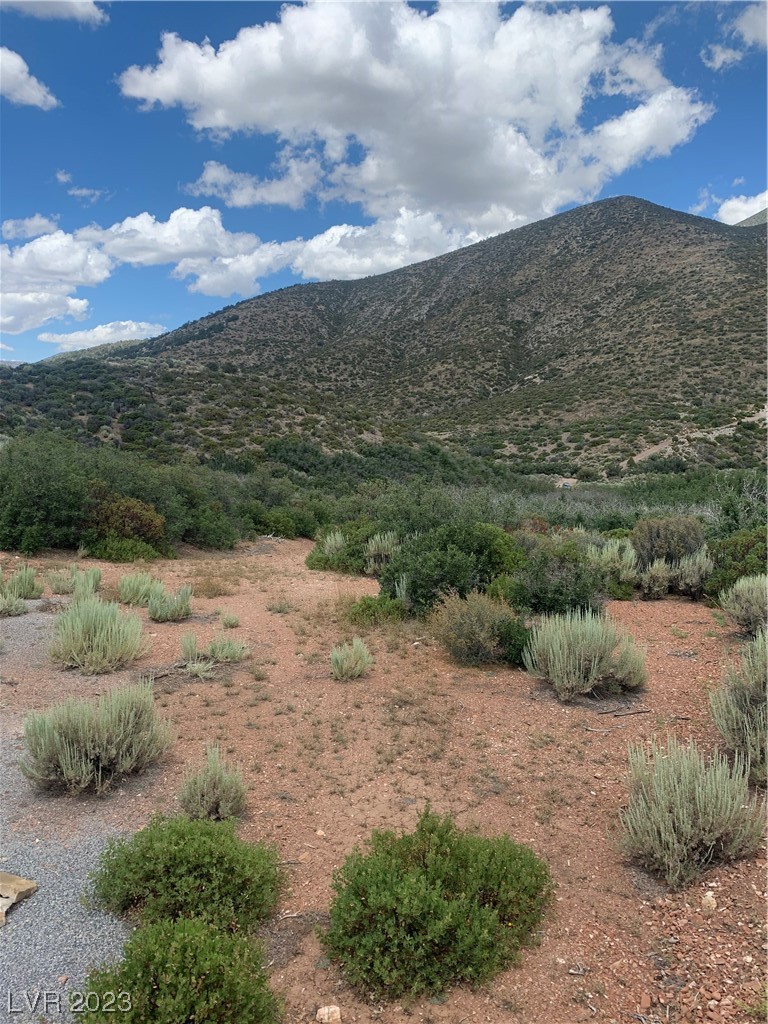 , Las Vegas, NV 89124