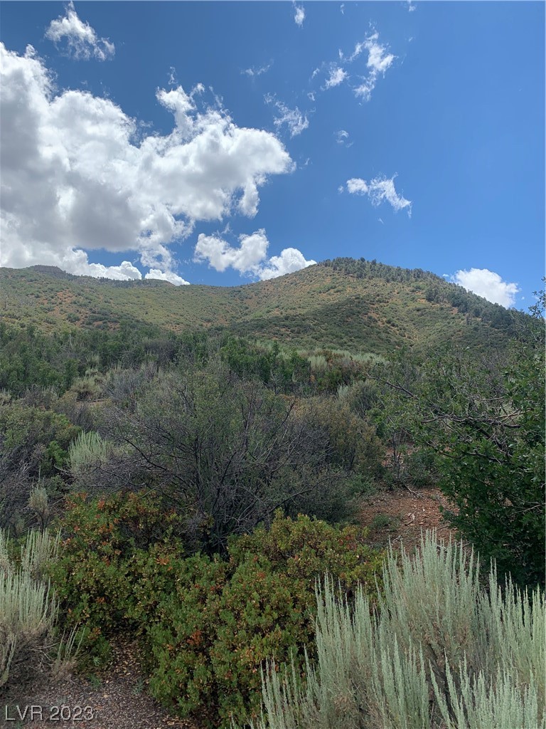 , Las Vegas, NV 89124