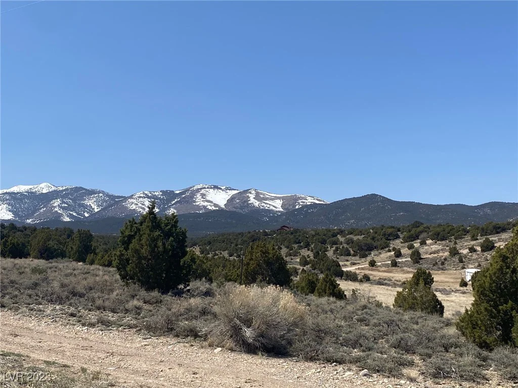 Mosier View Road area, Ely, NV 89301