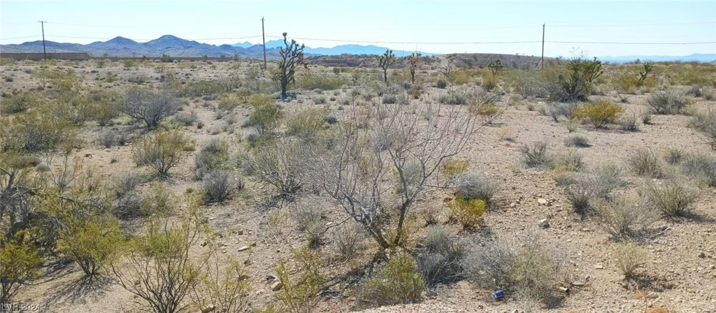 004 Encinitas, Searchlight, NV 89046