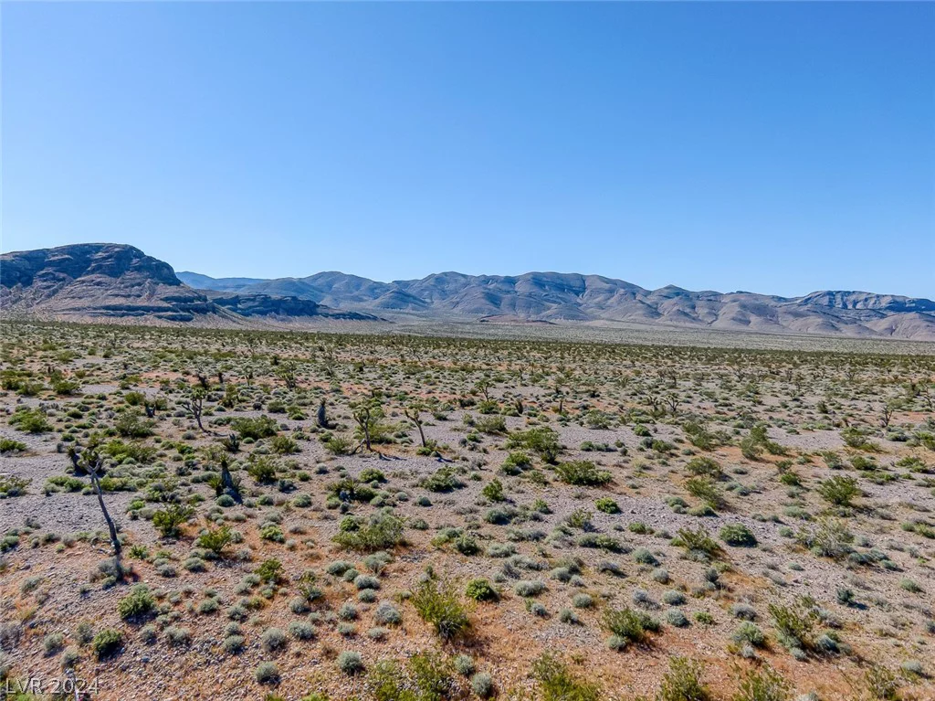 Scottie, Las Vegas, NV 89166