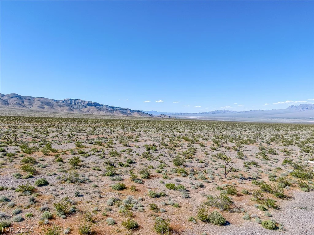 Scottie, Las Vegas, NV 89166