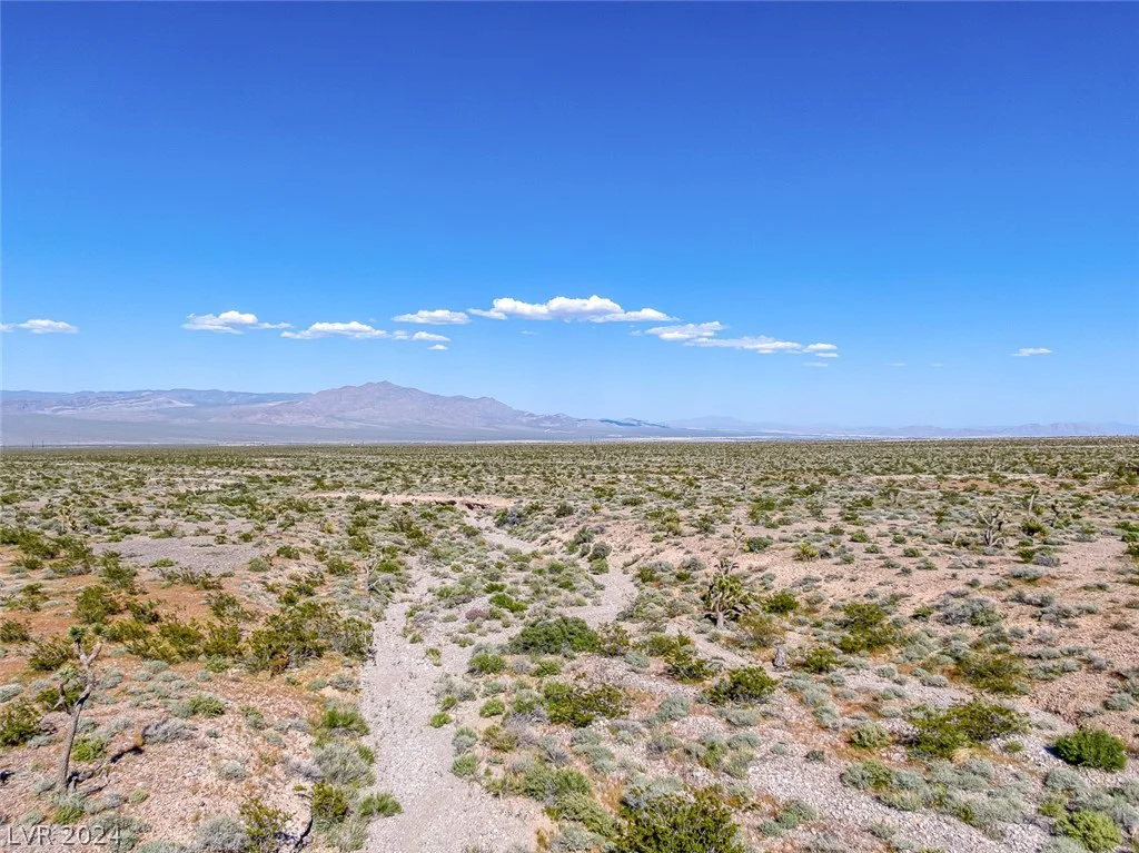 Scottie, Las Vegas, NV 89166