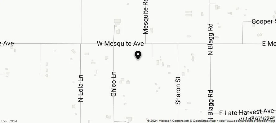 281 Mesquite, Pahrump, NV 89060