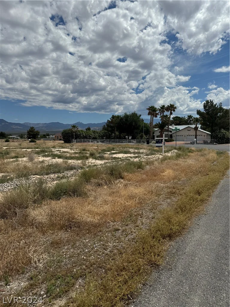 1860 Deerskin, Pahrump, NV 89048