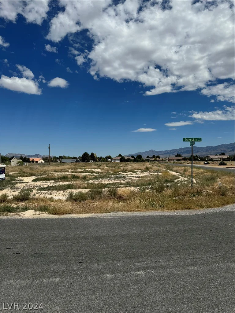 1860 Deerskin, Pahrump, NV 89048