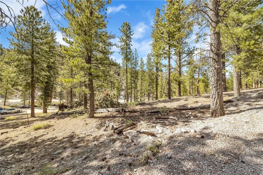 Lee Canyon Road, Mount Charleston, NV 89124