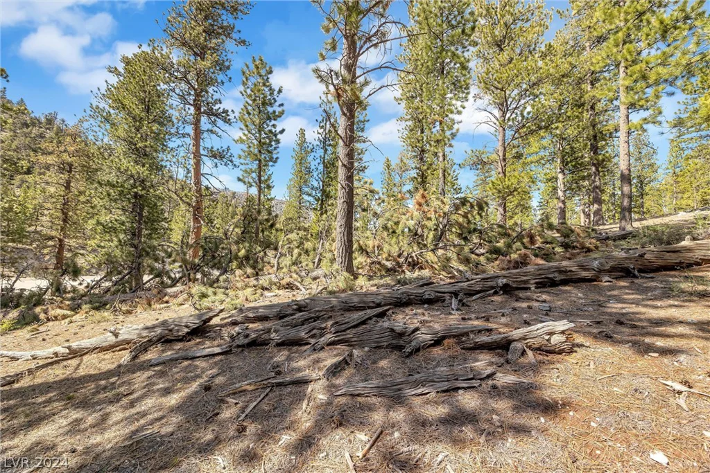 Lee Canyon Road, Mount Charleston, NV 89124