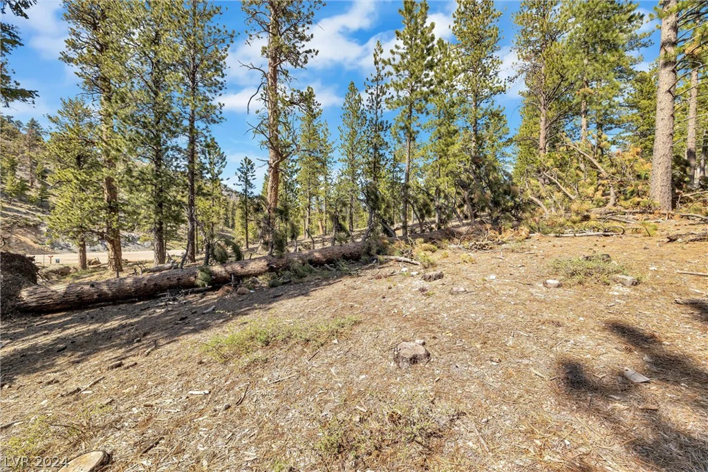 Lee Canyon Road, Mount Charleston, NV 89124