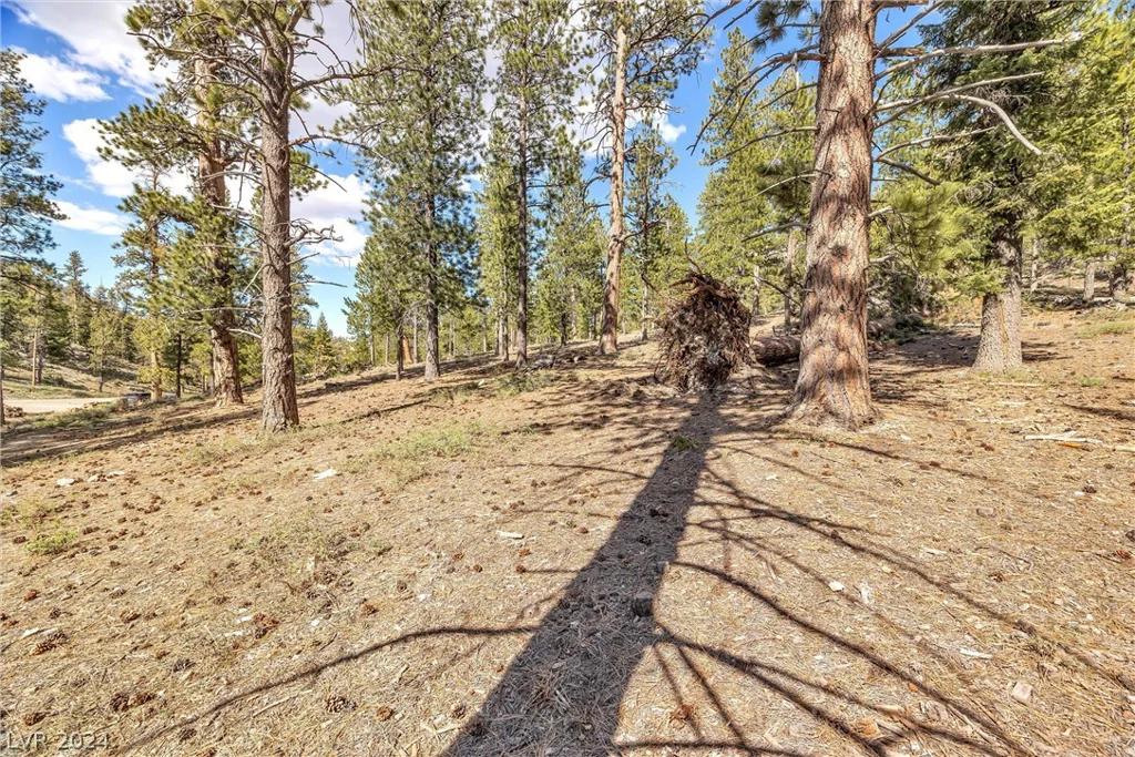 Lee Canyon Road, Mount Charleston, NV 89124
