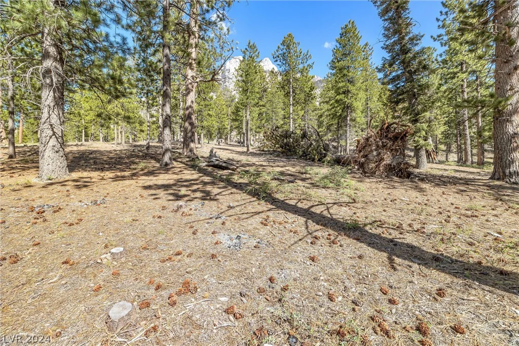 Lee Canyon Road, Mount Charleston, NV 89124
