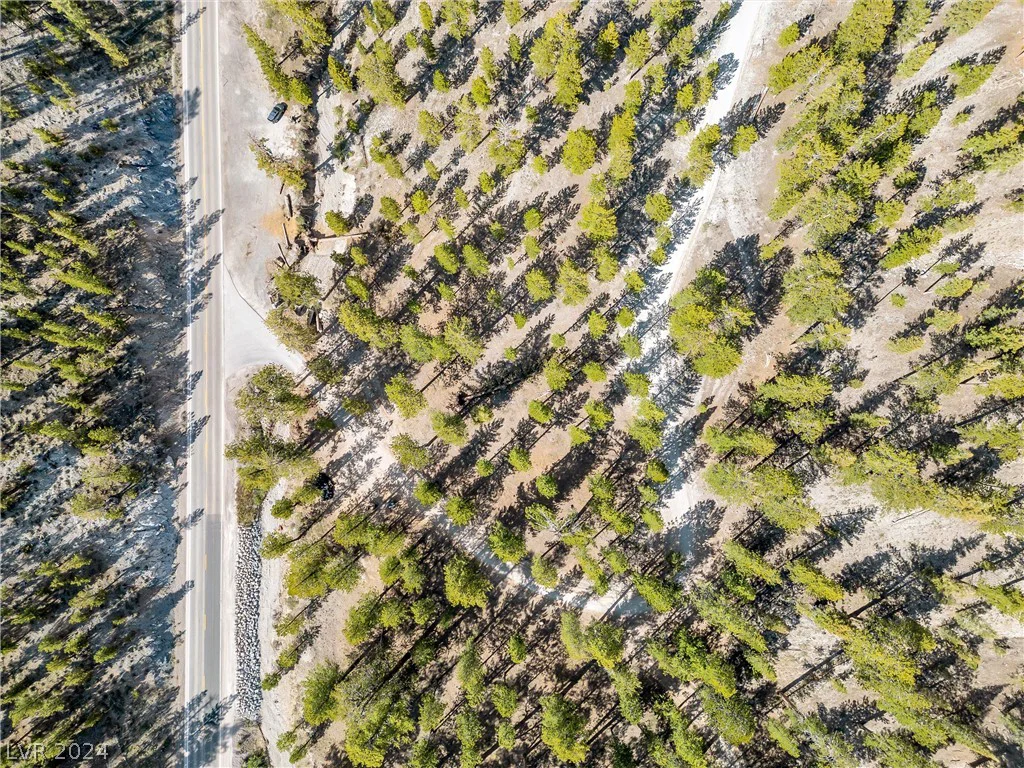 Lee Canyon Road, Mount Charleston, NV 89124