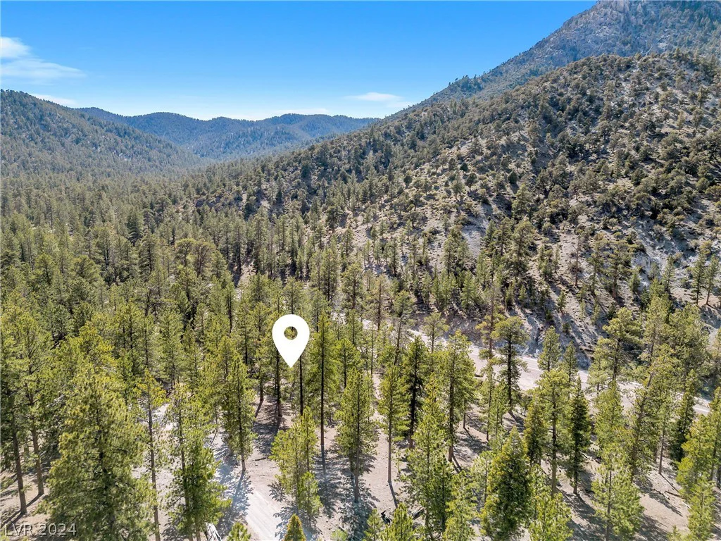 Lee Canyon Road, Mount Charleston, NV 89124