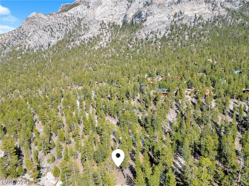 Lee Canyon Road, Mount Charleston, NV 89124