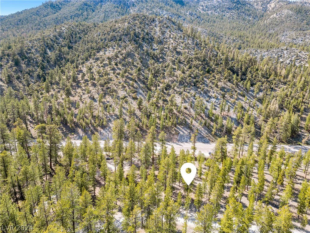 Lee Canyon Road, Mount Charleston, NV 89124