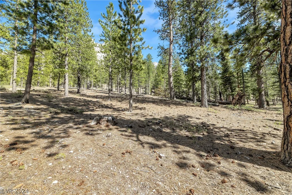 Lee Canyon Road, Mount Charleston, NV 89124