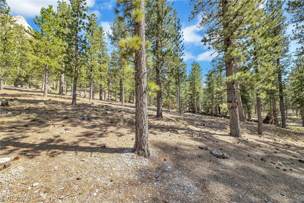 Lee Canyon Road, Mount Charleston, NV 89124