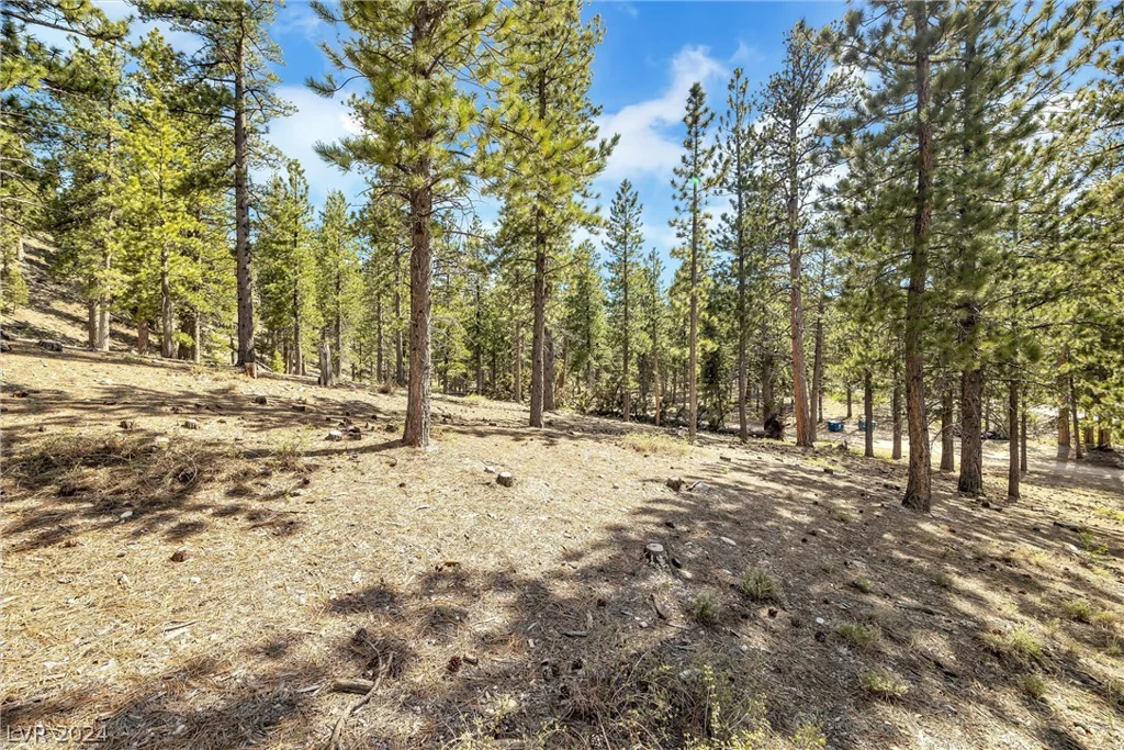 Lee Canyon Road, Mount Charleston, NV 89124