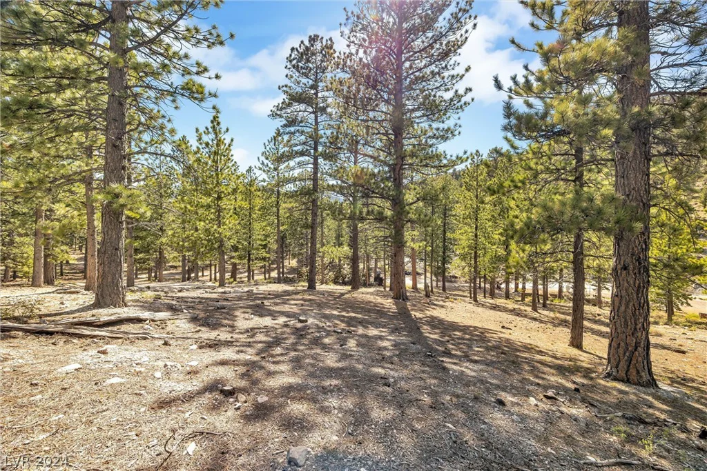 Lee Canyon Road, Mount Charleston, NV 89124