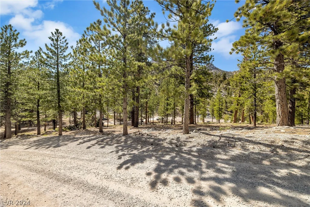 Lee Canyon Road, Mount Charleston, NV 89124