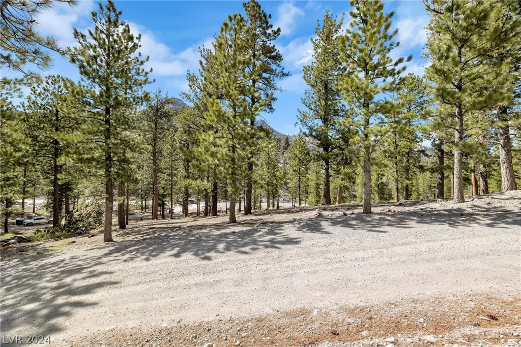 Lee Canyon Road, Mount Charleston, NV 89124