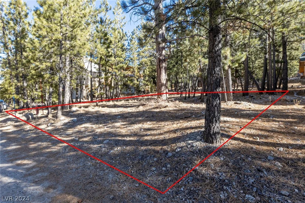 2154 Via Spes Nostra, Mount Charleston, NV 89124