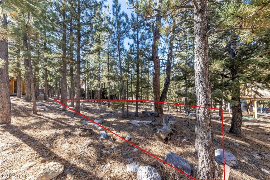 2154 Via Spes Nostra, Mount Charleston, NV 89124