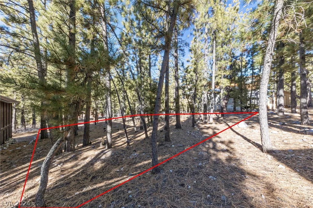2154 Via Spes Nostra, Mount Charleston, NV 89124