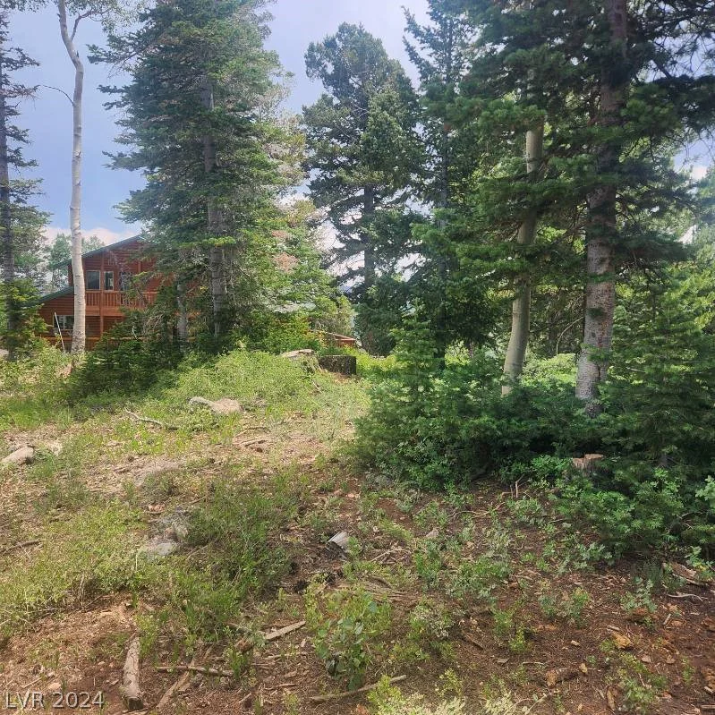 1272 Aspen, Brian Head, UT 84719