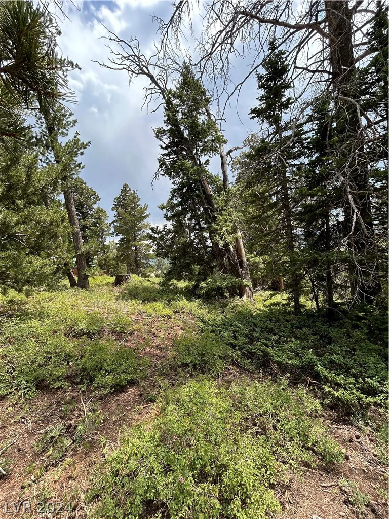 1272 Aspen, Brian Head, UT 84719