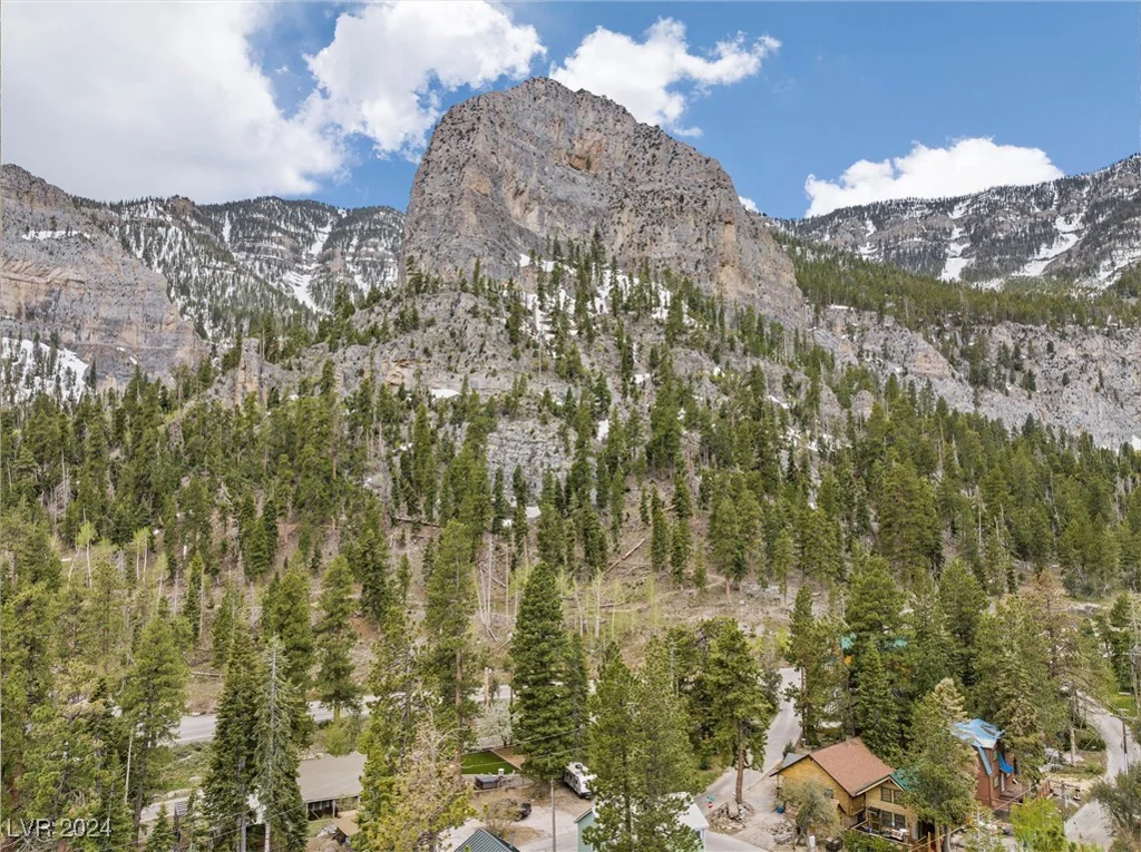 4785 Knotty Pine, Mount Charleston, NV 89124
