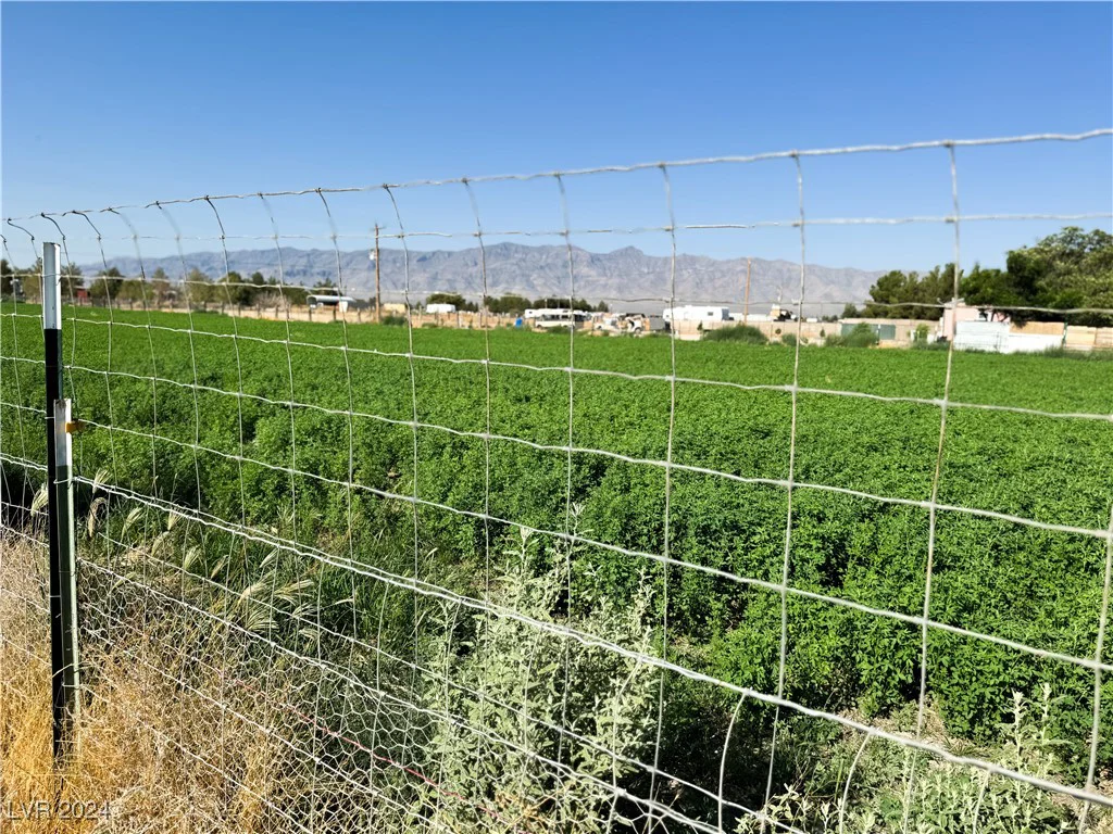 3301 Bond, Pahrump, NV 89061