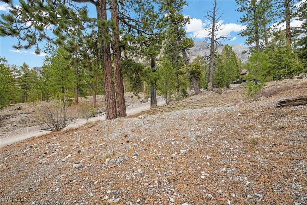 2196 Via Dulcedo, Mount Charleston, NV 89124